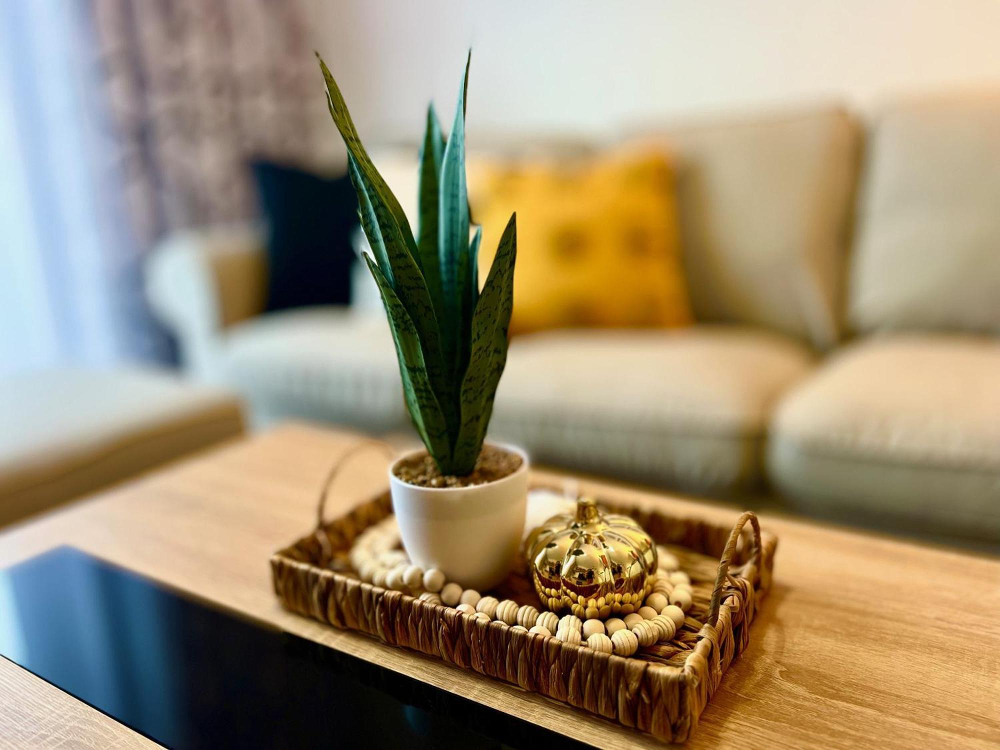 Casilla Bubo Apartment คอสตา เด อันตีกัว ภายนอก รูปภาพ